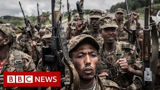 Where is the conflict in Ethiopia heading  BBC News [upl. by Adnole148]