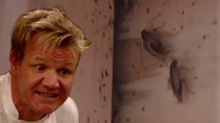 The Absolute Dirtiest Kitchen on Kitchen Nightmares and the Lawsuit that resulted from it [upl. by Silera]