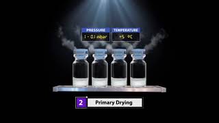 Product Lyophilization Process [upl. by Jone]