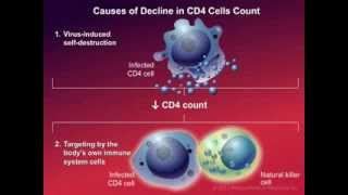 How HIV Causes Disease [upl. by Aramoiz]