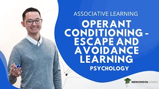 Operant Conditioning – Escape and Avoidance Learning [upl. by Marlon]