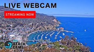 Live Webcam Avalon Catalina Island [upl. by Ninnahc]