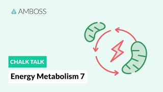 Energy Metabolism  Part 7 The Electron Transport Chain [upl. by Liamaj869]