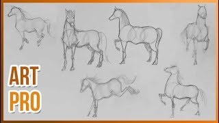 How to draw HORSES step by step 🐎 METHOD [upl. by Inoliel]