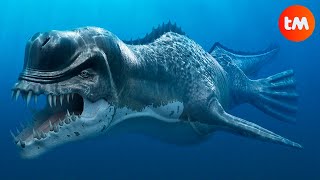 10 PREHISTORIC WHALES You Won´t Believe Existed [upl. by Enelloc933]