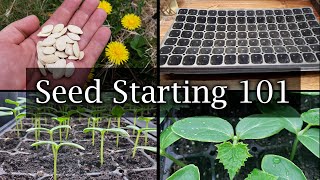 How To Start Vegetable Seeds  The Definitive Guide For Beginners [upl. by Ginsberg]