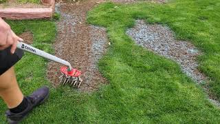 Reseeding Some Bare Spots  DIY Lawn Guy [upl. by Wons]