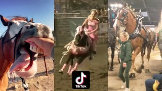 Horse Videos That Went Viral 1 [upl. by Bouzoun127]