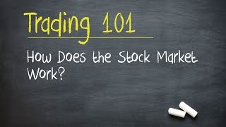 Trading 101 How Does the Stock Market Work [upl. by Kloman605]