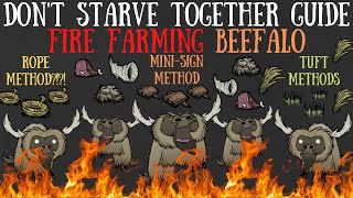 Dont Starve Together Guide Fire Farming Beefalo [upl. by Barnie]