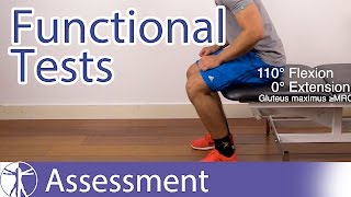 Functional Assessment in Physiotherapy [upl. by Drahcir]