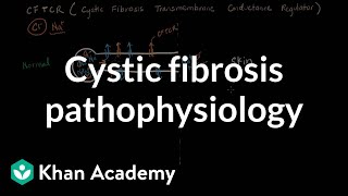 Cystic fibrosis pathophysiology  Respiratory system diseases  NCLEXRN  Khan Academy [upl. by Armelda]