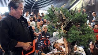 Kunio Kobayashi Bonsai demonstration [upl. by Akienahs]