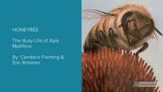 Read Aloud Honeybee The Busy Life of Apis Mellifera [upl. by O'Donovan]