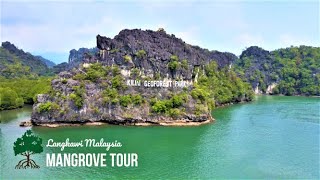 Mangrove Tour  Kilim Geoforest Park  Fun Things To Do In Langkawi [upl. by Zabrine]