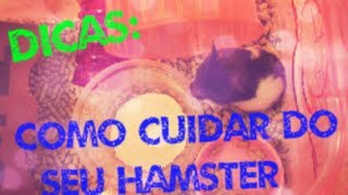 Dicas Como cuidar do seu hamster [upl. by Korrie]