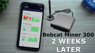 Bobcat Miner 300 HNT  Results After 2 Weeks  Helium Hotspot Miner [upl. by Reisch]