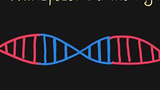 Introduction to Transposons [upl. by Aiuqram593]