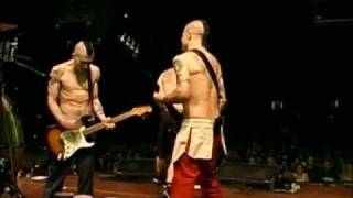 Red Hot Chili Peppers  Right On Time  Live Off The Map HD [upl. by Carleton]