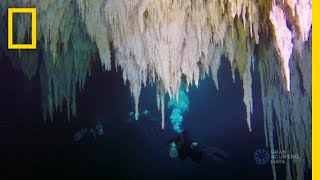 Explore the Worlds Largest Underwater Cave  National Geographic [upl. by Finah889]