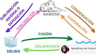 Cambios de Estado de la Materia FÁCIL 13 ejercicios para practicar [upl. by Trueblood450]