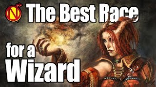 DampD Wizard Best Race in 5th Edition Dungeons and Dragons [upl. by Sybyl]