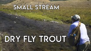 Small Stream Dry Fly Nirvana  Dubois Wyoming [upl. by Ichabod]