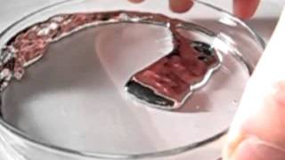 experiments with the liquid metal mercury V feat gallium [upl. by Dougy802]