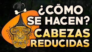 CÓMO SE HACEN LAS CABEZAS REDUCIDAS [upl. by Tesil]