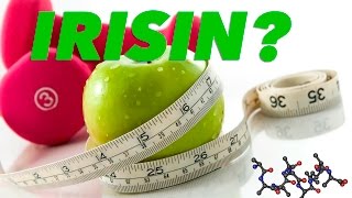 WHAT IS IRISIN [upl. by Heyes]