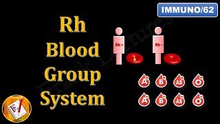 Rh Blood Group System FLImmuno62 [upl. by Farhi]