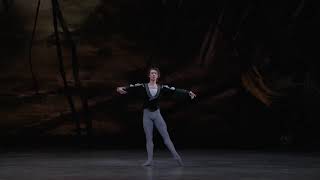 My Top 10 Favourite Male Ballet Dancers [upl. by Ardnasil400]