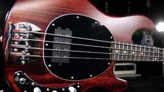 Product Spotlight  Sterling By MusicMan SUB Ray4 Electric Bass [upl. by Uriisa]