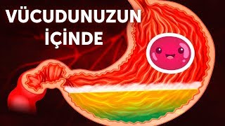 Vücudunuzun İçine Doğru Bir Yolculuk [upl. by Couchman]