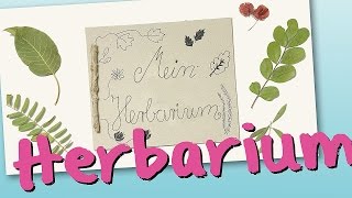 Herbarium [upl. by Lichter545]