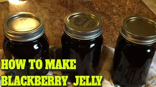 BLACKBERRY JELLY  STEP BY STEP  EASY…DELICIOUS RECIPE [upl. by Maxim]