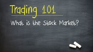 Trading 101 What is the Stock Market [upl. by Siubhan]