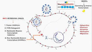 AIDS  Antiretroviral Drugs Treatment [upl. by Florette863]