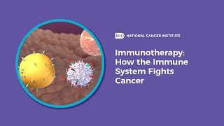 Immunotherapy How the Immune System Fights Cancer [upl. by Dnilazor]