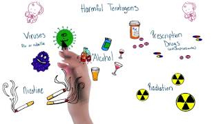 Harmful teratogens  Intro to Psychology [upl. by Rosecan]