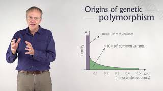 Genetic Polymorphism  From Disease to Genes and Back [upl. by Eiznyl]