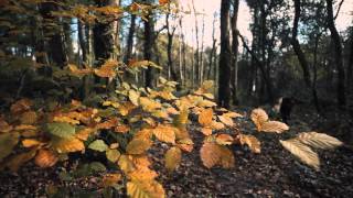 Castlewellan Mountain Bike Trails [upl. by Renckens]