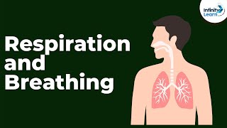 Introduction to Respiration and Breathing  Dont Memorise [upl. by Loram]