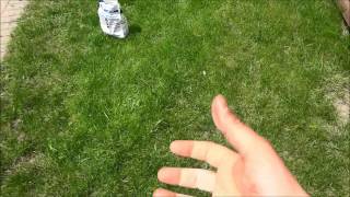 How To Spread Grass Seed With Your Hand No Tools Needed [upl. by Brie]