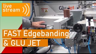 HolzHer Edgebander overview with glue purging Live 111920 [upl. by Zerep]