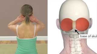 Self Myofascial Release Head and Neck [upl. by Tay]