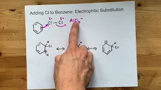 Adding Cl to Benzene Electrophilic Substitution [upl. by Silin831]