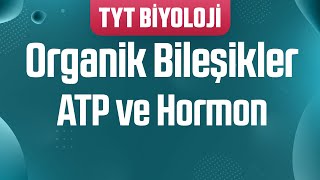 13 Organik Bileşikler  ATP ve Hormon [upl. by Assen721]