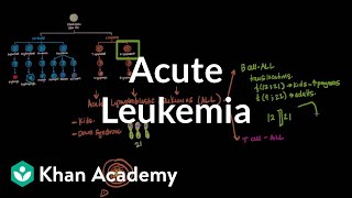 Acute leukemia  Hematologic System Diseases  NCLEXRN  Khan Academy [upl. by Nicoline802]