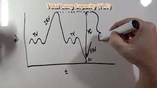 Lung Volumes and Capacities Spirometer Graph [upl. by Aurelie]